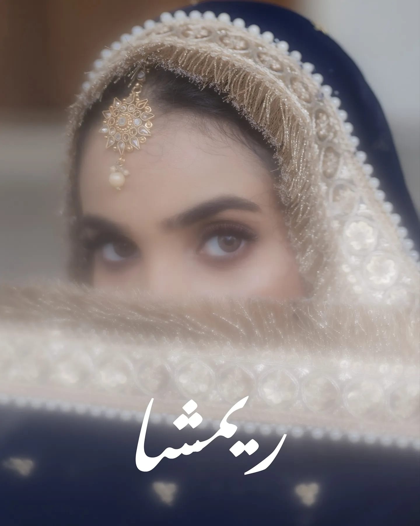 Close-up bridal portrait framed by an embroidered veil